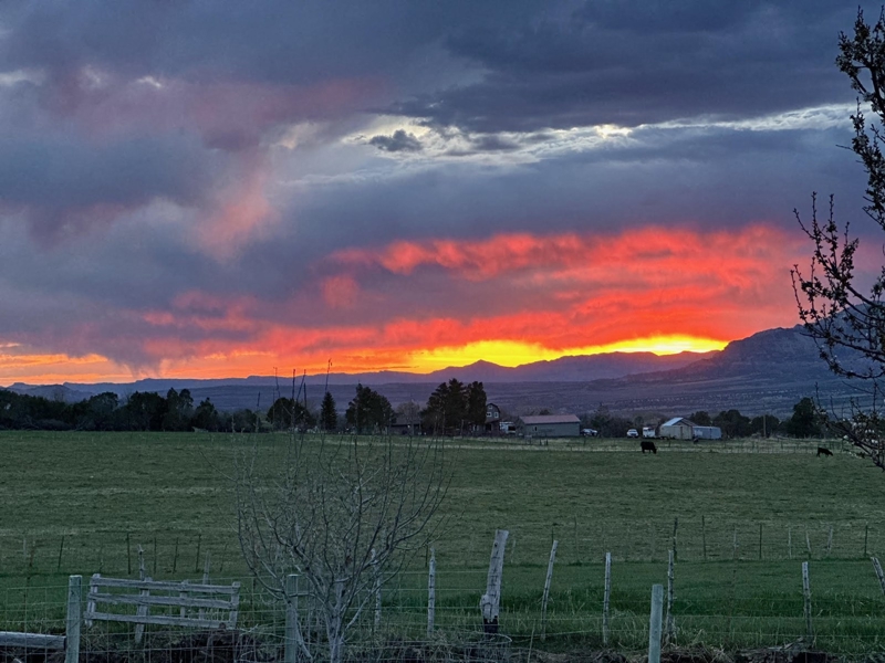 Colorado Home With Irrigation Workshop For Sale