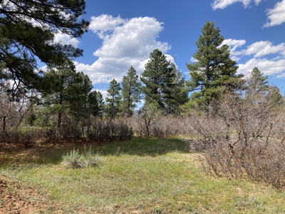 Beautiful Mountain Property Minutes From Chama - image 20