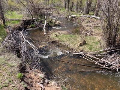 Beautiful Mountain Property Minutes From Chama - image 9