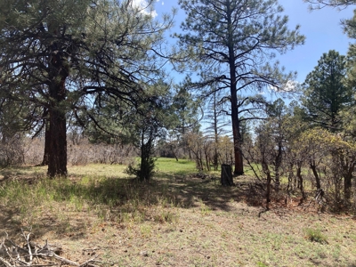 Beautiful Mountain Property Minutes From Chama - image 2