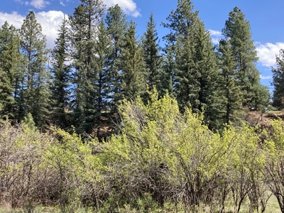Beautiful Mountain Property Minutes From Chama - image 12