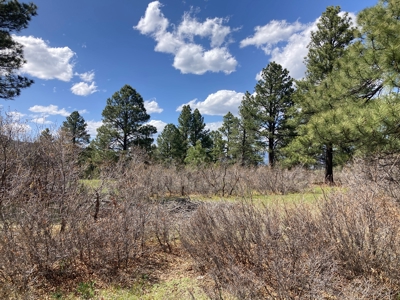 Beautiful Mountain Property Minutes From Chama - image 21