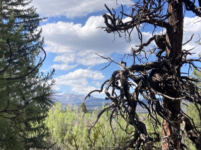 Beautiful Mountain Property Minutes From Chama - image 4
