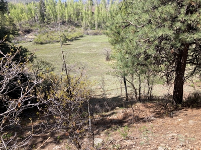 Beautiful Mountain Property Minutes From Chama - image 6