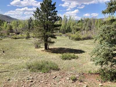 Beautiful Mountain Property Minutes From Chama - image 7