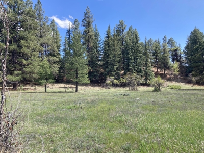 Beautiful Mountain Property Minutes From Chama - image 10