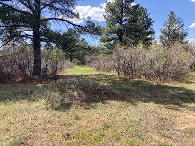 Beautiful Mountain Property Minutes From Chama - image 22