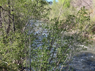 Beautiful Mountain Property Minutes From Chama - image 25