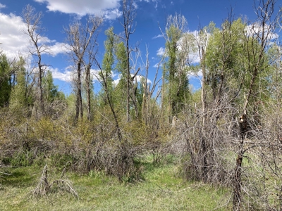 Beautiful Mountain Property Minutes From Chama - image 11