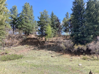 Beautiful Mountain Property Minutes From Chama - image 8