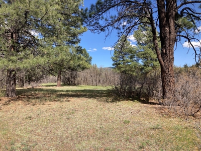 Beautiful Mountain Property Minutes From Chama - image 17