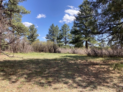 Beautiful Mountain Property Minutes From Chama - image 3