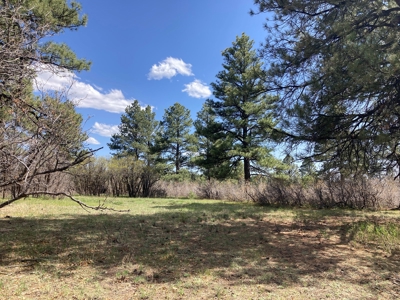 Beautiful Mountain Property Minutes From Chama - image 18