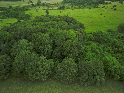 Charming Ranch Style Home on Serene 40 Acres - image 34