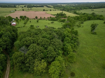 Charming Ranch Style Home on Serene 40 Acres - image 35