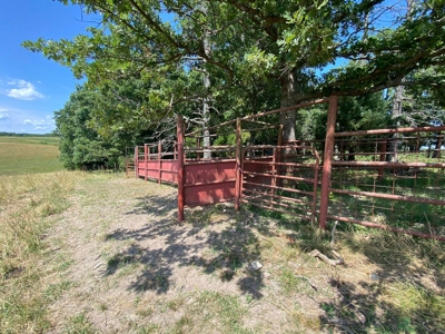Exceptional Farm and Home on 253 Acres - image 13