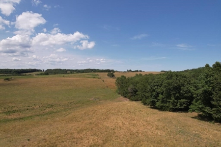 Exceptional Farm and Home on 253 Acres - image 5