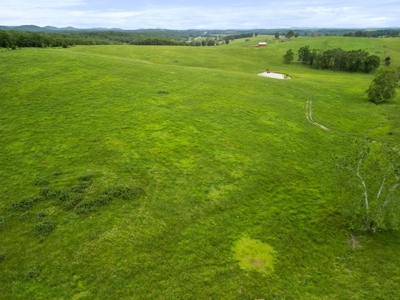 Exceptional Farm and Home on 253 Acres - image 44
