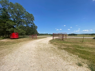 Exceptional Farm and Home on 253 Acres - image 26