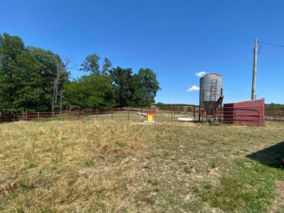 Exceptional Farm and Home on 253 Acres - image 10