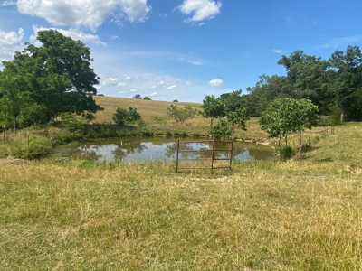 Exceptional Farm and Home on 253 Acres - image 21