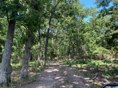 Exceptional Farm and Home on 253 Acres - image 15