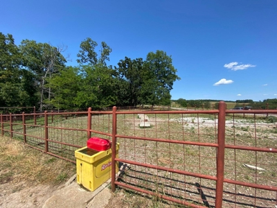 Exceptional Farm and Home on 253 Acres - image 12
