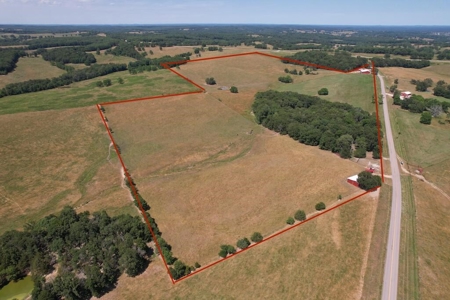 Exceptional Farm and Home on 253 Acres - image 2