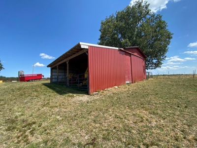 Exceptional Farm and Home on 253 Acres - image 9