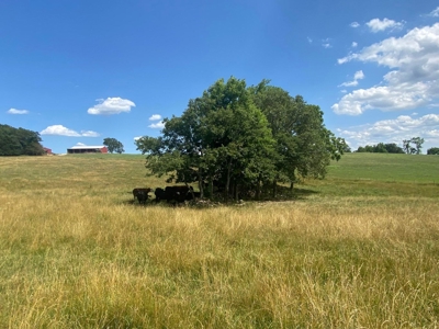 Exceptional Farm and Home on 253 Acres - image 20