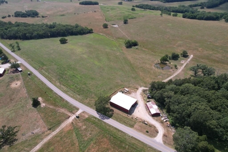 Exceptional Farm and Home on 253 Acres - image 6