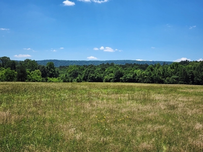 Country Acreage For Sale – Big Eagle Creek Frontage - image 5