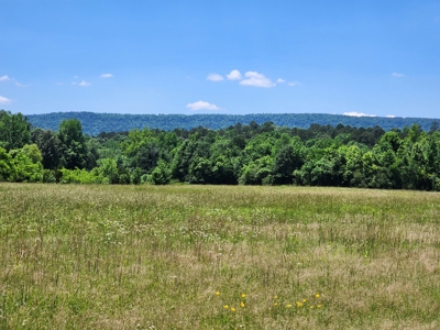 Country Acreage For Sale – Big Eagle Creek Frontage - image 24