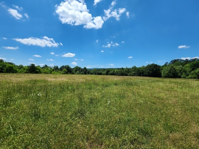 Country Acreage For Sale – Big Eagle Creek Frontage - image 4