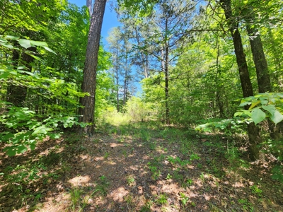 Country Acreage For Sale – Big Eagle Creek Frontage - image 7