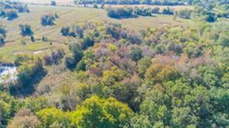 Land for sale, 160 acres McIntosh County. OK - image 3