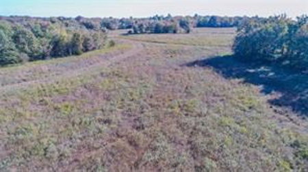 Land for sale, 160 acres McIntosh County. OK - image 6
