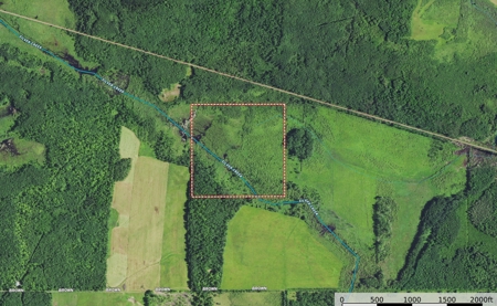 40 Acres of Hunting/Recreational Land off Soo Line Trail - image 2