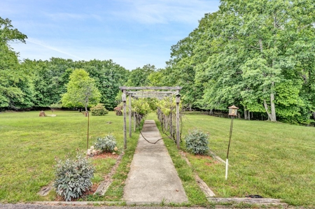 Large Brick Family Home for Sale in Vinton VA - image 38