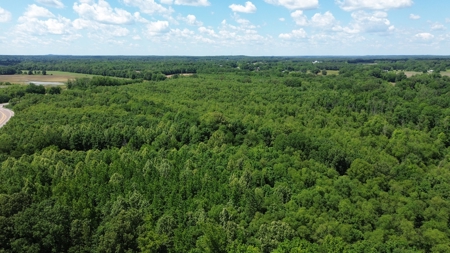 Land For Sale In Tn, 107 Acres, Hunting, Wetland, Crp Income - image 18