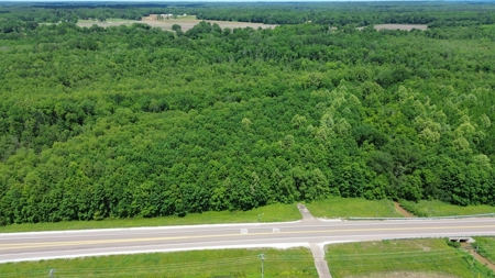 Land For Sale In Tn, 107 Acres, Hunting, Wetland, Crp Income - image 20