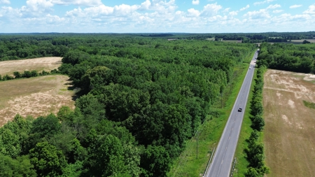 Land For Sale In Tn, 107 Acres, Hunting, Wetland, Crp Income - image 15