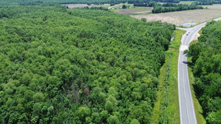 Land For Sale In Tn, 107 Acres, Hunting, Wetland, Crp Income - image 23