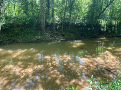 Land For Sale In Tn, 107 Acres, Hunting, Wetland, Crp Income - image 9