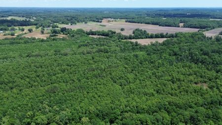 Land For Sale In Tn, 107 Acres, Hunting, Wetland, Crp Income - image 31