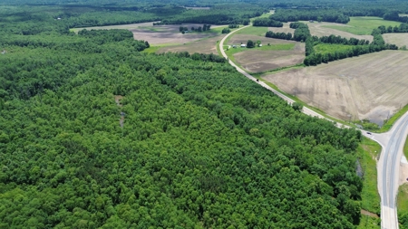 Land For Sale In Tn, 107 Acres, Hunting, Wetland, Crp Income - image 27