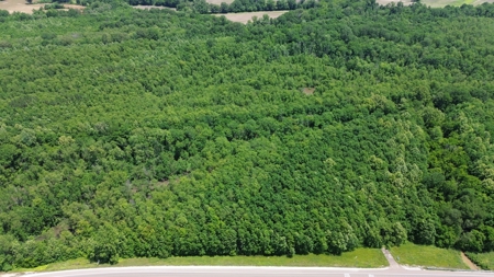Land For Sale In Tn, 107 Acres, Hunting, Wetland, Crp Income - image 30