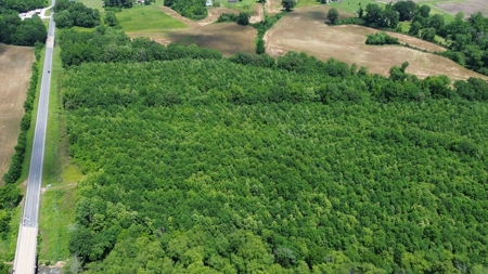 Land For Sale In Tn, 107 Acres, Hunting, Wetland, Crp Income - image 26