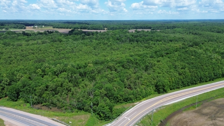 Land For Sale In Tn, 107 Acres, Hunting, Wetland, Crp Income - image 16