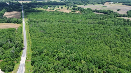 Land For Sale In Tn, 107 Acres, Hunting, Wetland, Crp Income - image 32